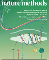 Multiplexed mass spectrometry of individual ions improves measurement of proteoforms and their complexes