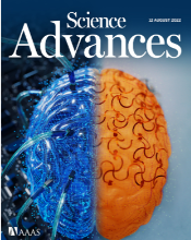 Highly multiplexed, label-free proteoform imaging of tissues by individual ion mass spectrometry
