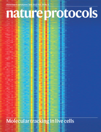 Standardized workflow for multiplexed charge detection mass spectrometry on orbitrap analyzers