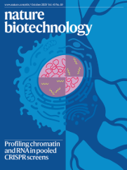 Proteoform profiling of endogenous single cells from rat hippocampus at scale